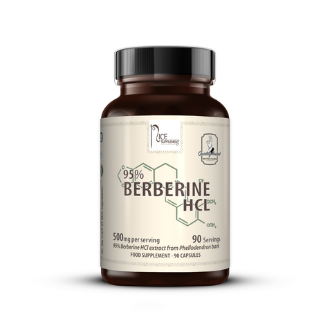 BERBERINE HCL // 500mg