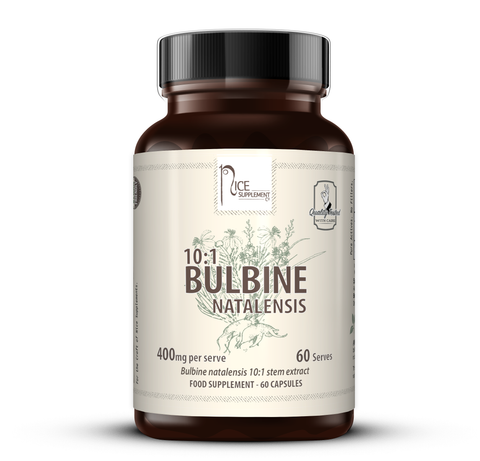 BULBINE NATALENSIS 10:1 // 400mg