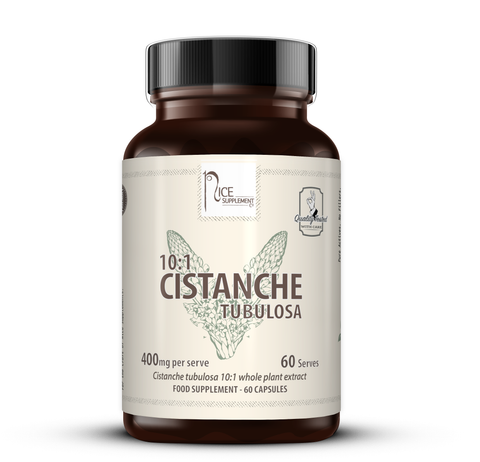 CISTANCHE TUBULOSA 10:1 // 400mg