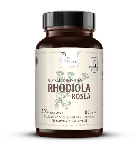 RHODIOLA ROSEA // 300mg